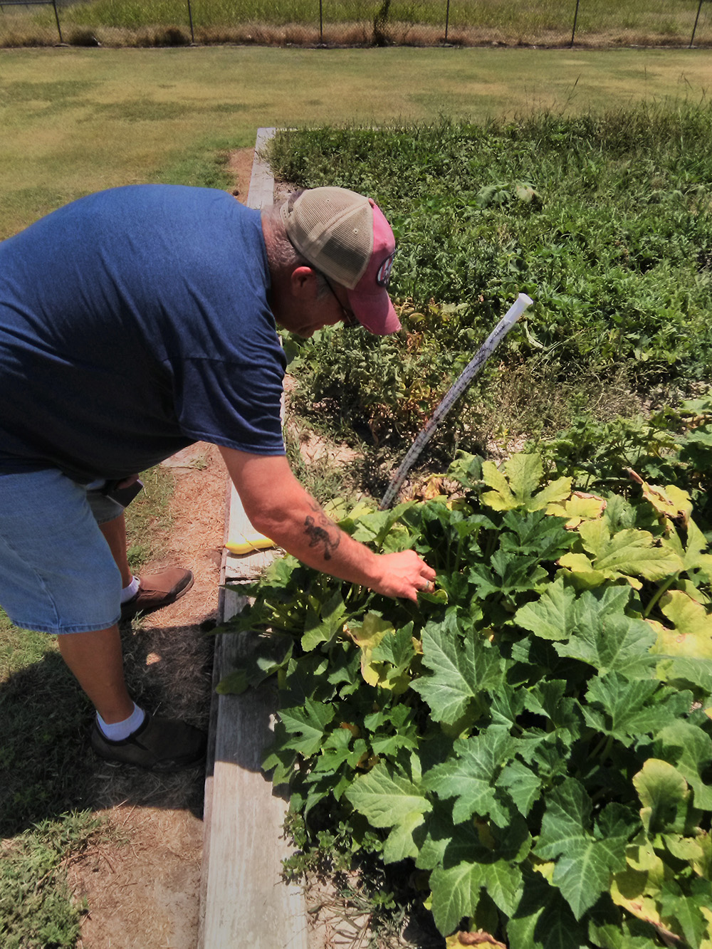 Affordable Housing - Gardener